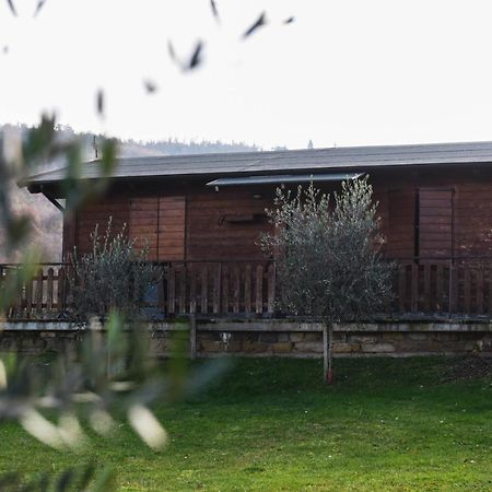 Agriturismo Ponte Di Riocchio グッビオ エクステリア 写真